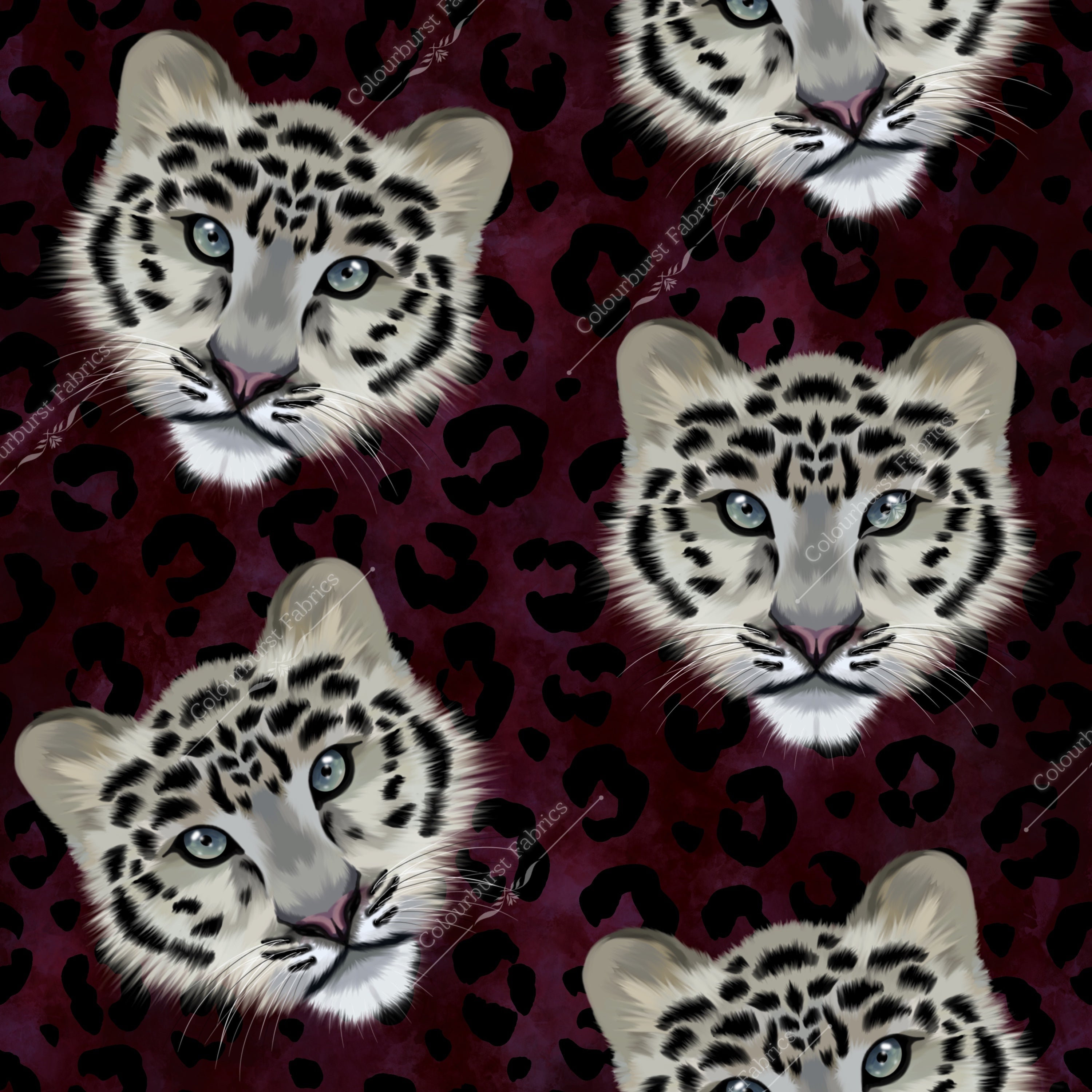 Snow Leopards EXCLUSIVE